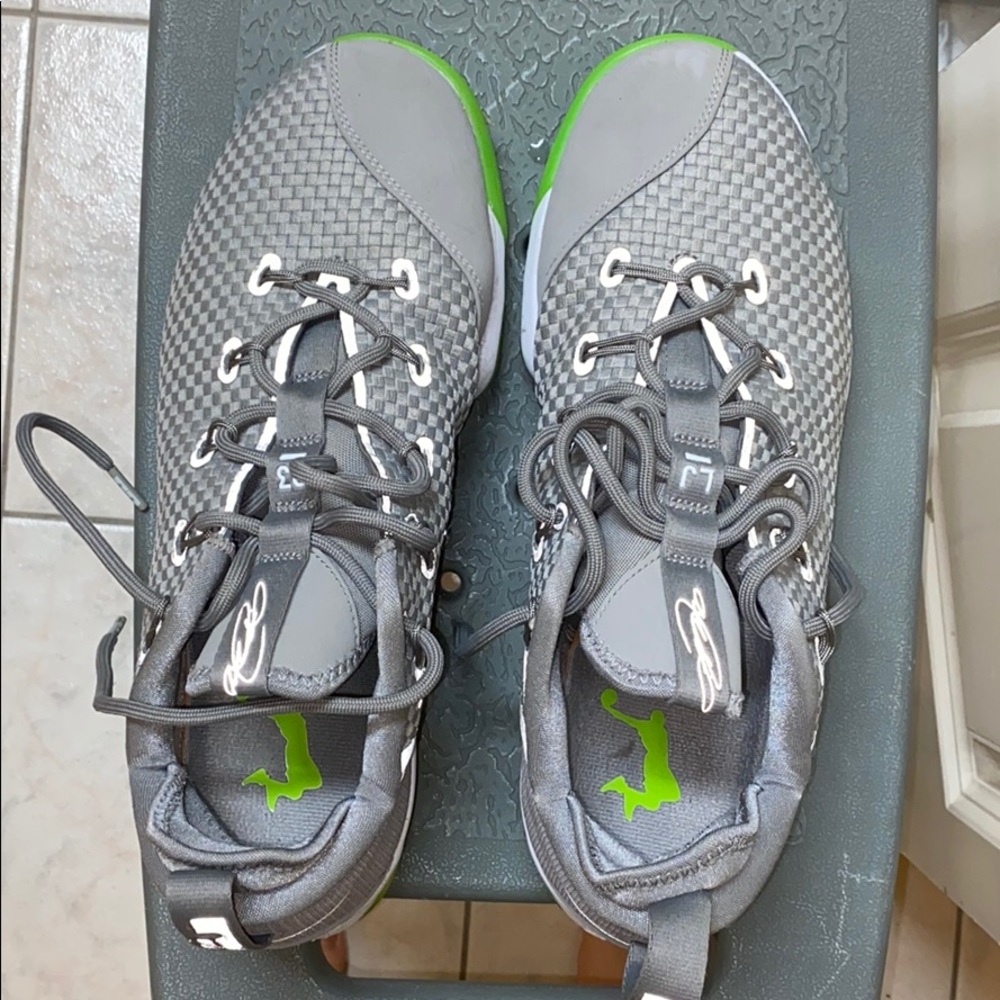 Lebron XIV basketball shoes